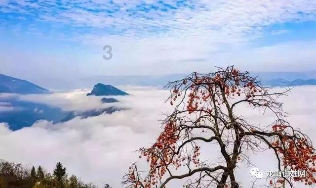 《大宅门》五大混混，个个死于非命，最大的混混是谁