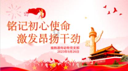 健美大赛